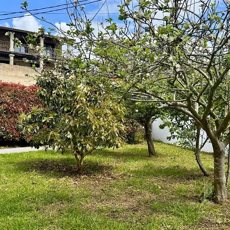 Bascuas House With Ocean Views *